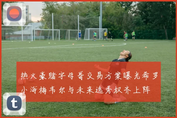 热火豪赌字母哥交易方案曝光希罗小海梅韦尔与未来选秀权齐上阵