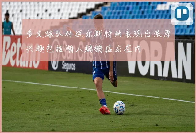 多支球队对迈尔斯特纳表现出浓厚兴趣包括湖人鹈鹕猛龙在内